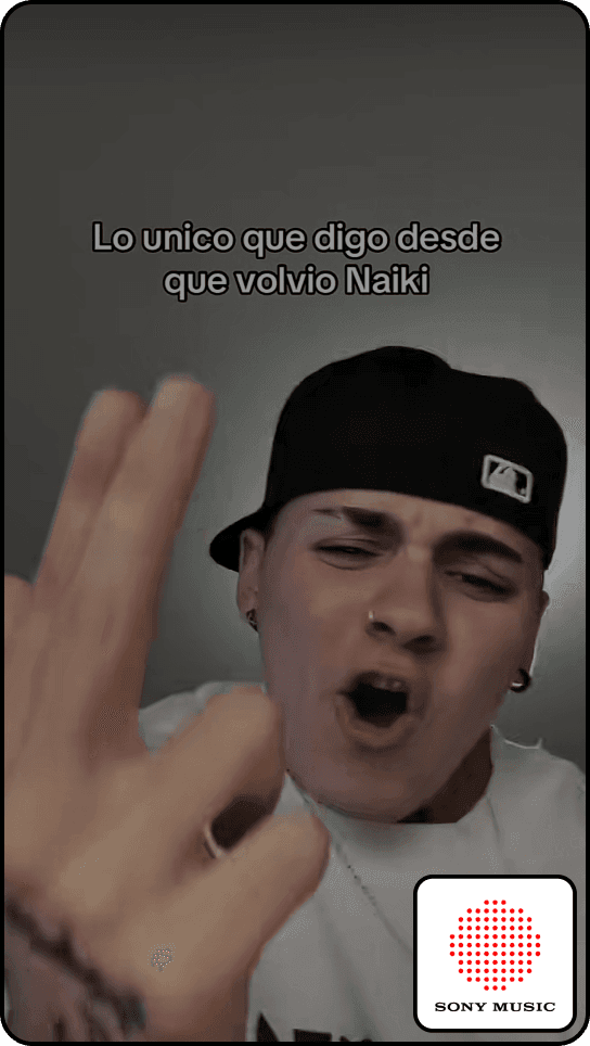 TikTok collaboration example 4