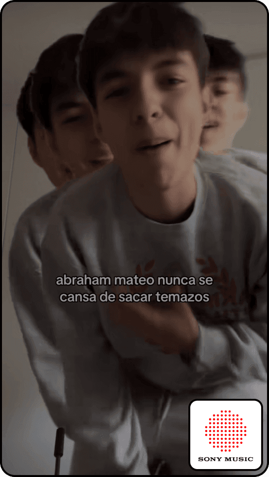TikTok collaboration example 5