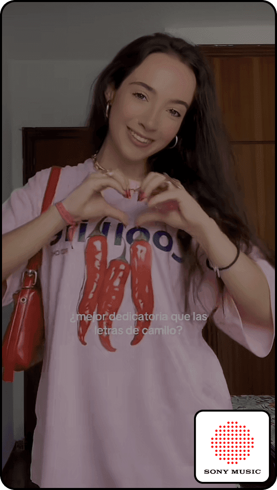 TikTok collaboration example 6
