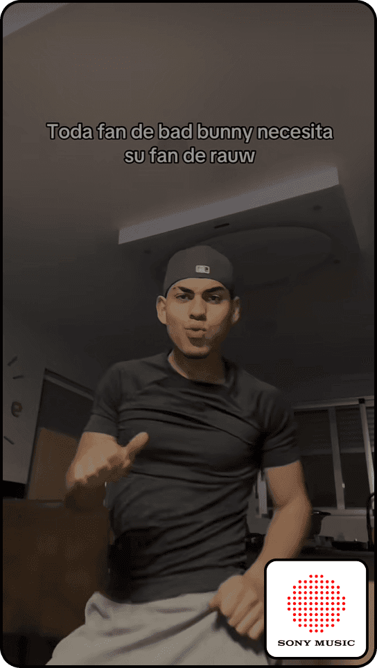 TikTok collaboration example 7
